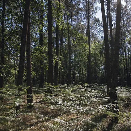Πανσιόν Maison De Magescq