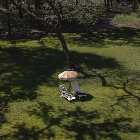 Maison De Πανσιόν *