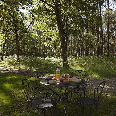 Maison De Πανσιόν *