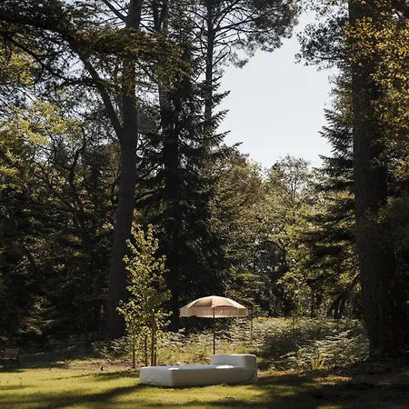 Maison De Πανσιόν