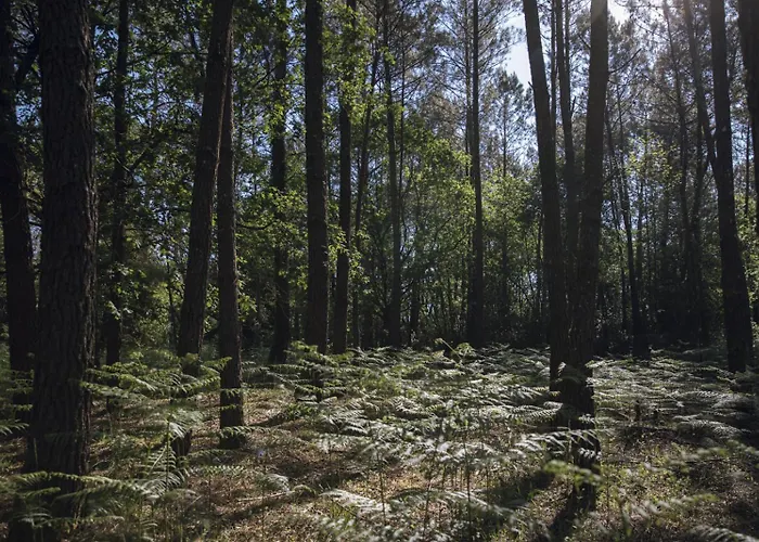 Pensión Maison De Magescq
