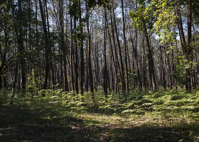 Maison De Pensión Magescq