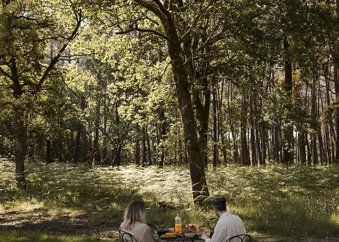 Pensión Maison De *