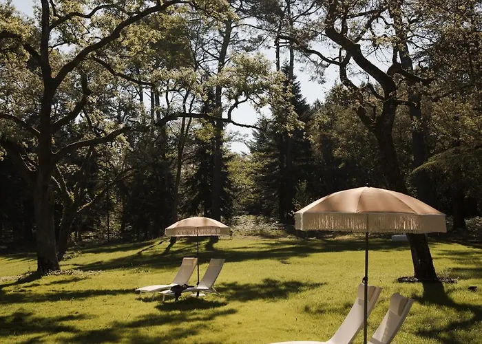 Pensión Maison De Magescq