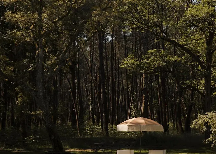 Pensión Maison De Magescq